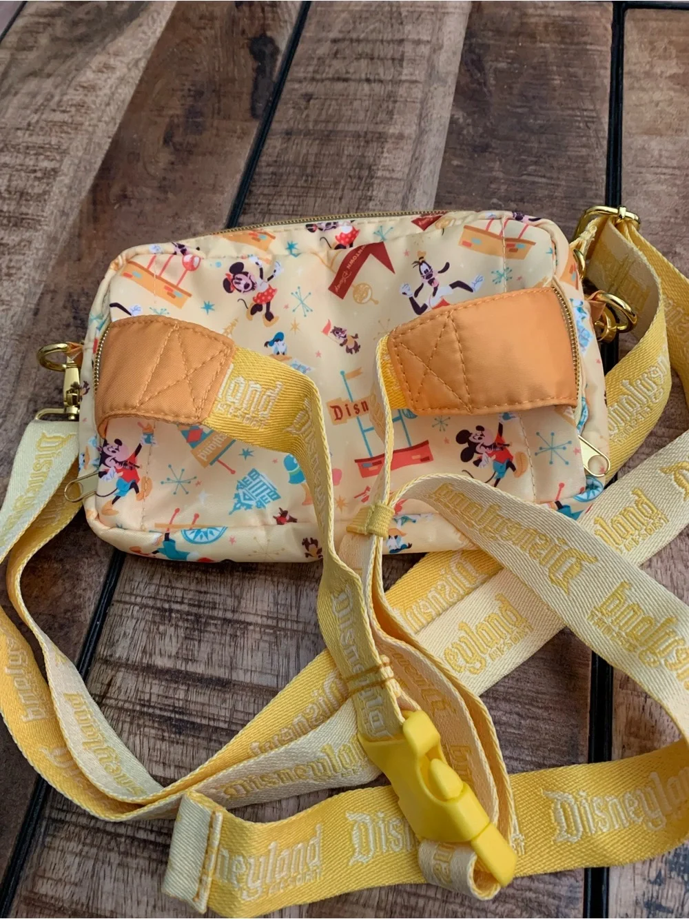 Disney Play in the Park Convertible Crossbody / Belt Bag